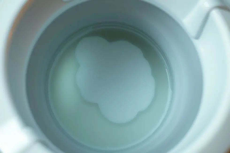 Sinais Além da Cor Cheiro, Espuma e Frequência